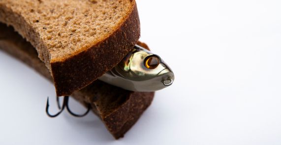 Do Trout Eat Bread? The Surprising Answer & How Best to Use It