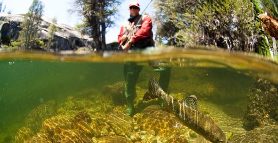 trout fishing after rain