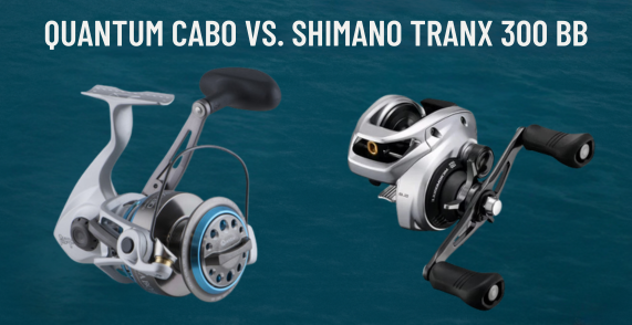 Quantum Cabo vs. Shimano Tranx 300 B Saltwater Reel Comparison